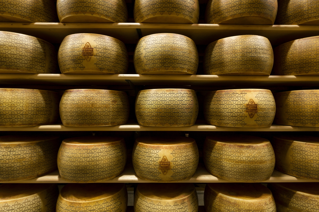 VIA LIBERA ALLA POSSIBILITA’ DI SPALMARE SU  DUE ANNI IL TAGLIO PRODUTTIVO PREVISTO PER IL 2020 VIA LIBERA ALLA POSSIBILITA’ DI SPALMARE SU  DUE ANNI IL TAGLIO PRODUTTIVO PREVISTO PER IL 2020