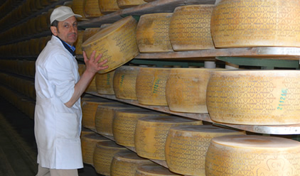 Caseificio Vincenzo Quaglia S.r.l. Caseificio Vincenzo Quaglia S.r.l.