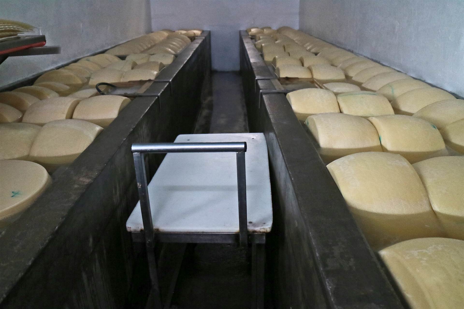 Societ&#224; Cooperativa Croce Grossa