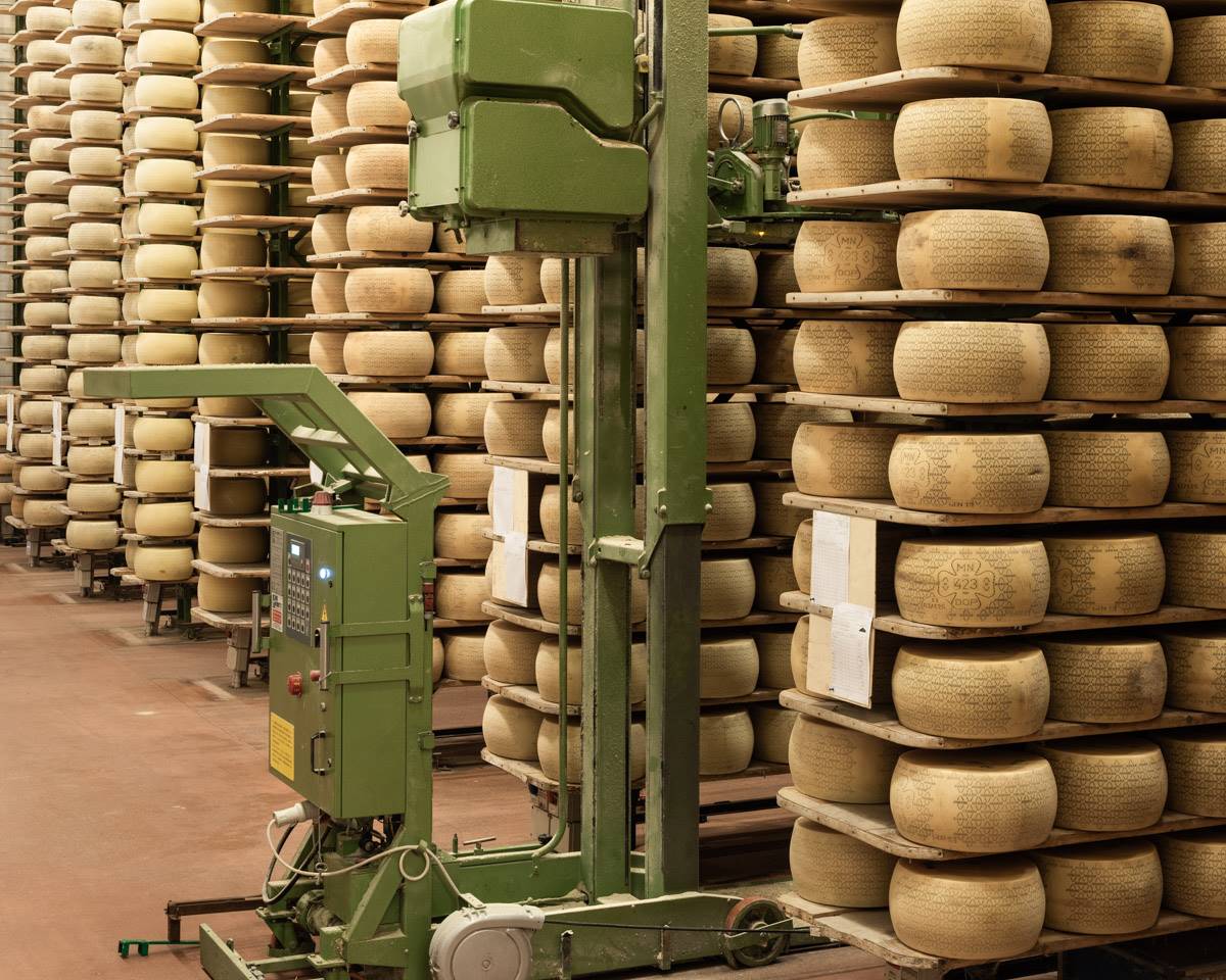 NOMISMA, IL PIANO PRODUTTIVO HA FAVORITO LA CRESCITA DEL GRANA PADANO DOP NOMISMA, IL PIANO PRODUTTIVO HA FAVORITO LA CRESCITA DEL GRANA PADANO DOP