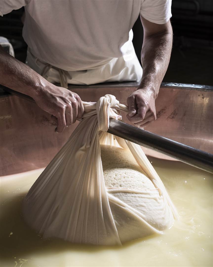 Le fascere in teflon che contengono le forme nel primo giorno di produzione