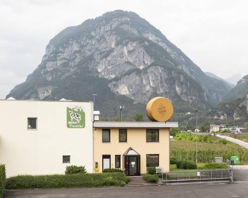 Casearia Monti Trentini SpA Casearia Monti Trentini SpA
