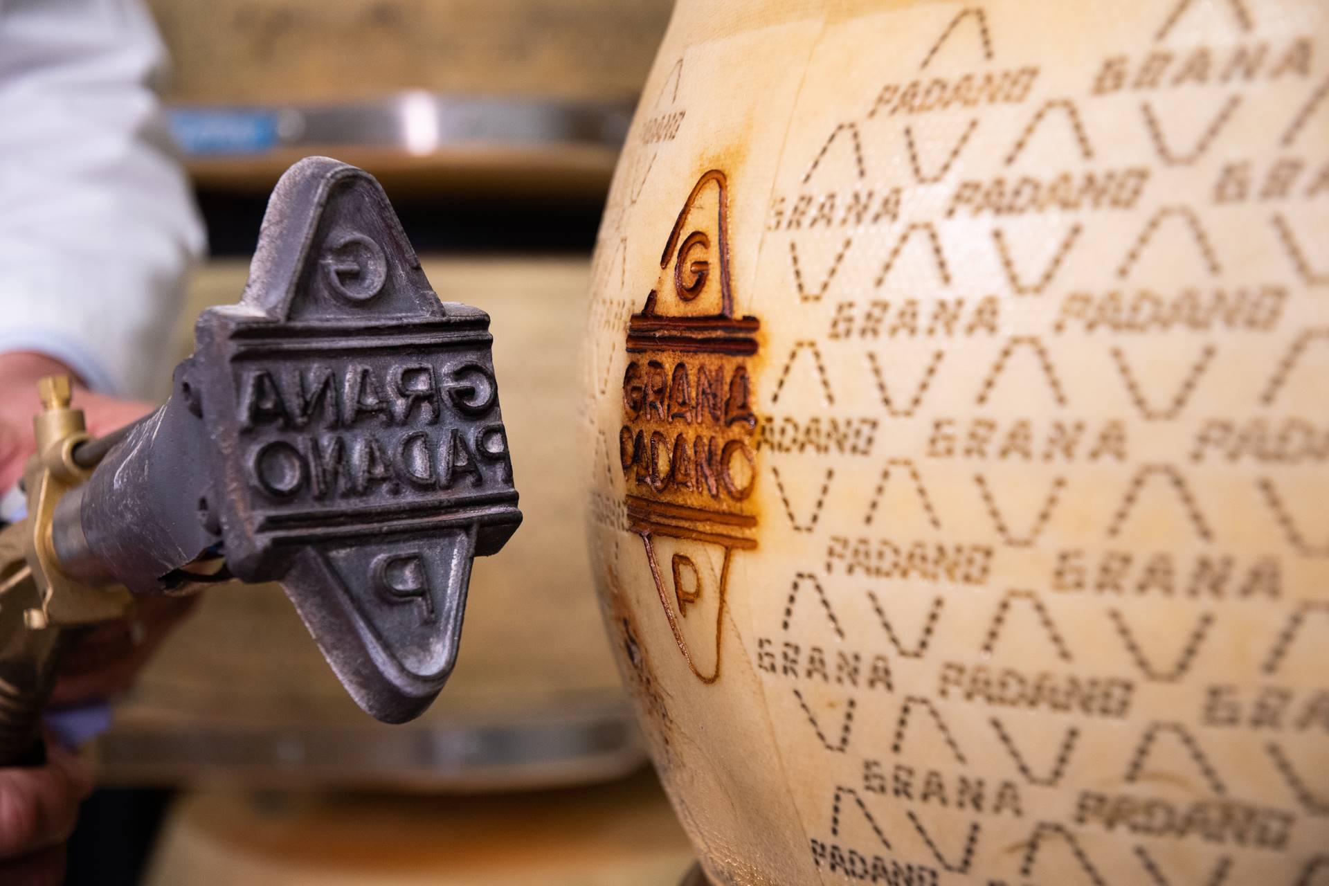 “USCITE” DI GRANA PADANO DOP IN AUMENTO DEL 12% A MAGGIO 2022 “USCITE” DI GRANA PADANO DOP IN AUMENTO DEL 12% A MAGGIO 2022