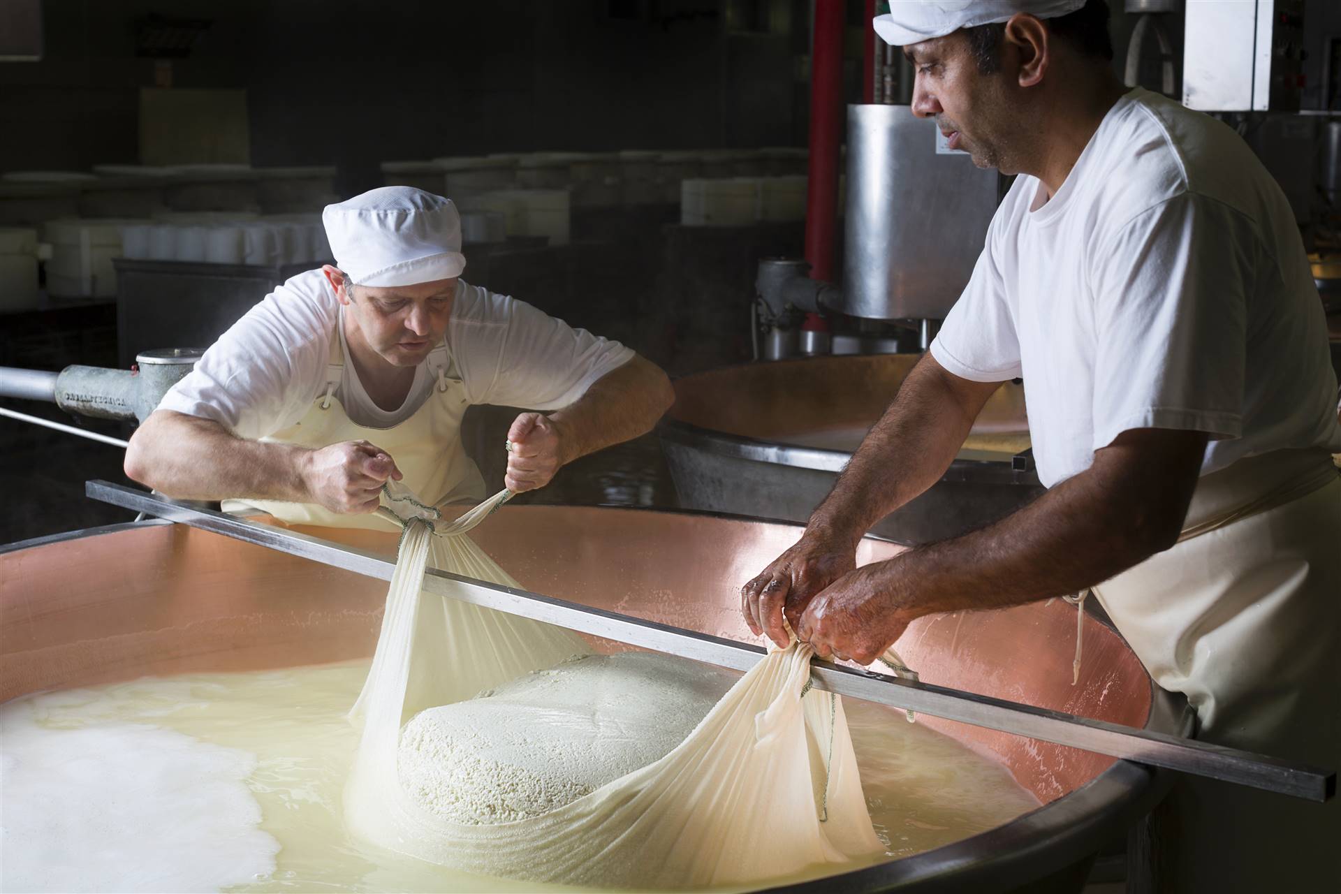 GRANA PADANO VALORIZZA IL LATTE E GARANTISCE L’INTERA FILIERA GRANA PADANO VALORIZZA IL LATTE E GARANTISCE L’INTERA FILIERA