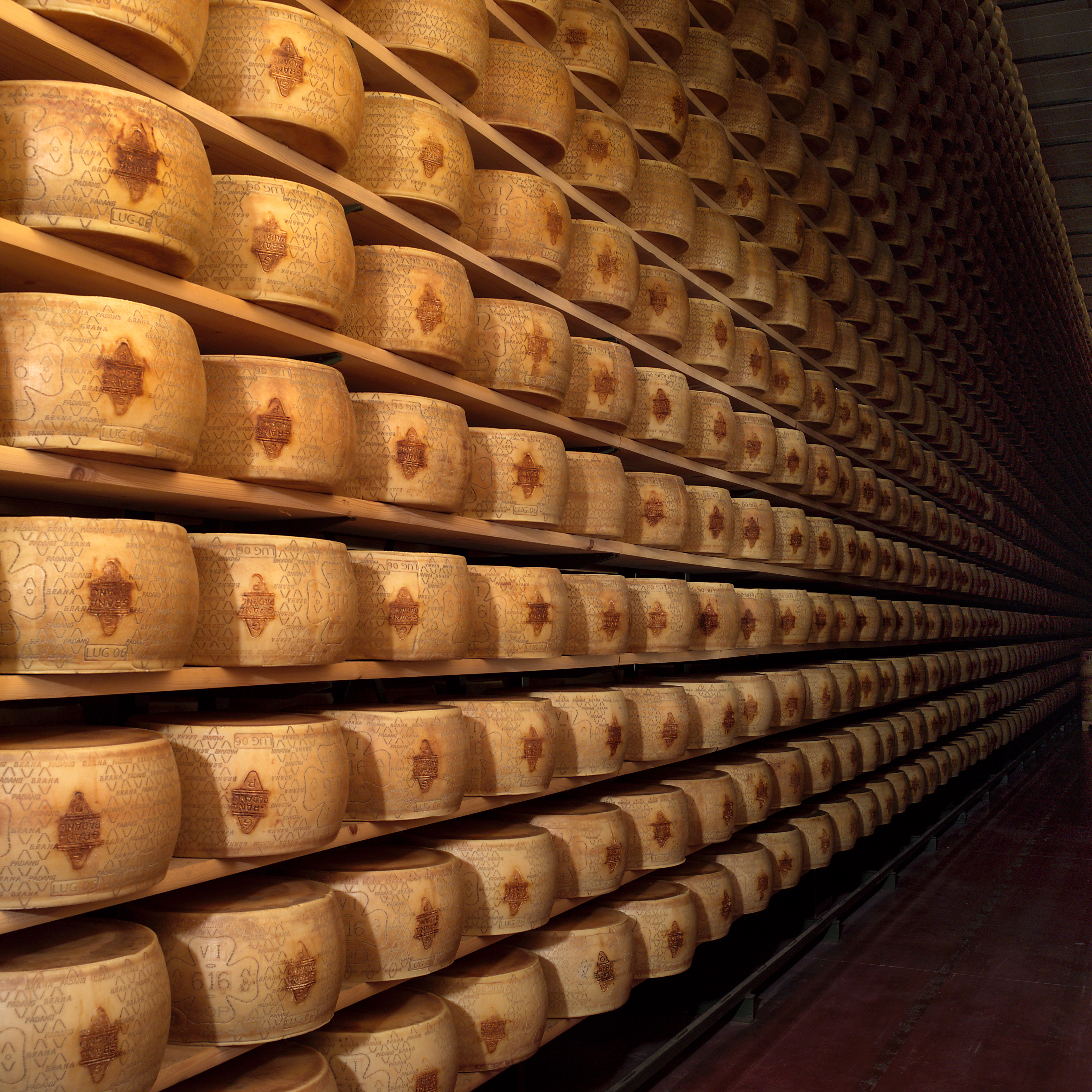 VOLA L’EXPORT DI GRANA PADANO DOP NEL 2021, IN CRESCITA DEL 7%  VOLA L’EXPORT DI GRANA PADANO DOP NEL 2021, IN CRESCITA DEL 7% 