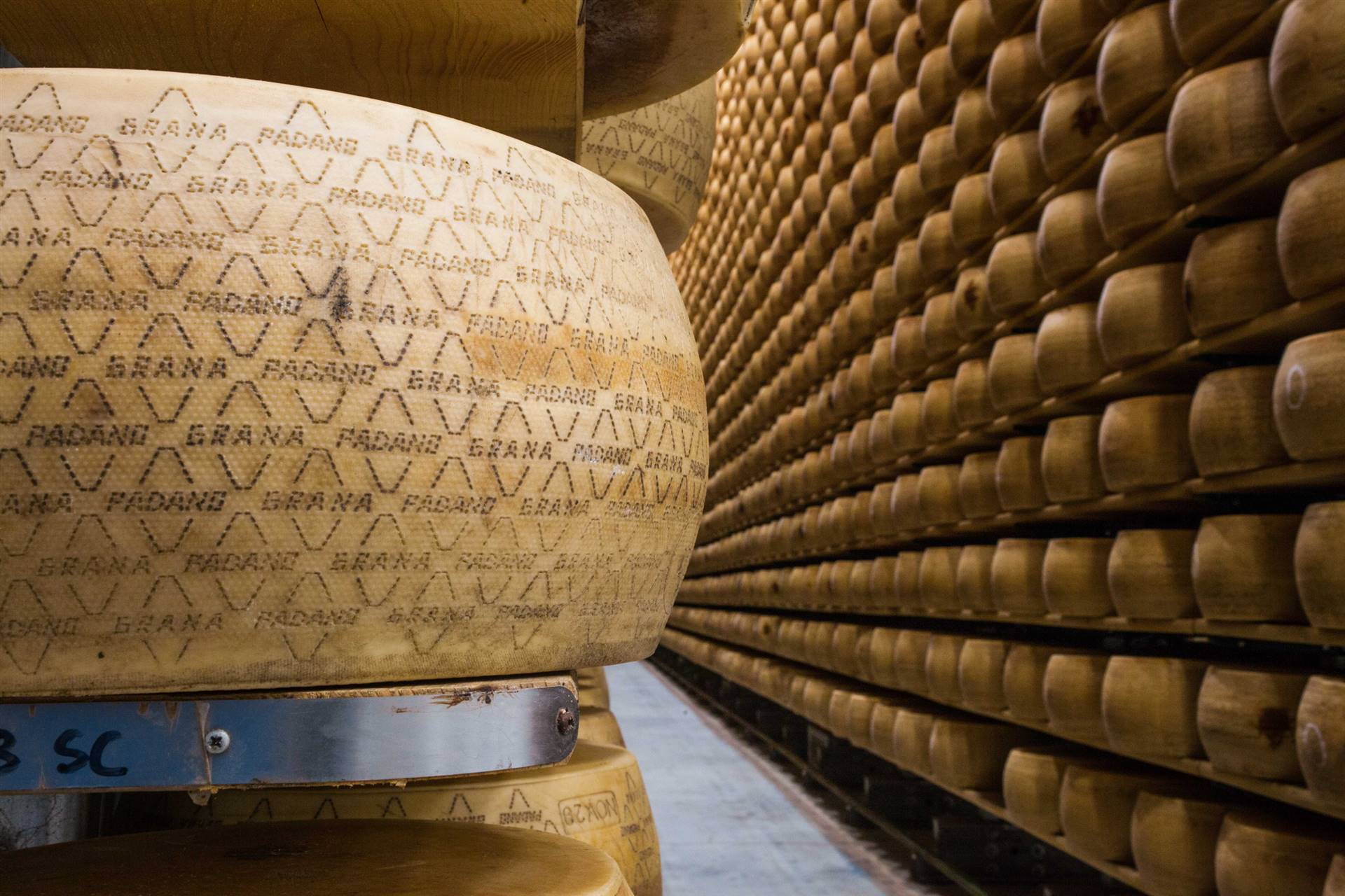GRANA PADANO SEMPRE AL TOP DELLA DOP ECONOMY GRANA PADANO SEMPRE AL TOP DELLA DOP ECONOMY