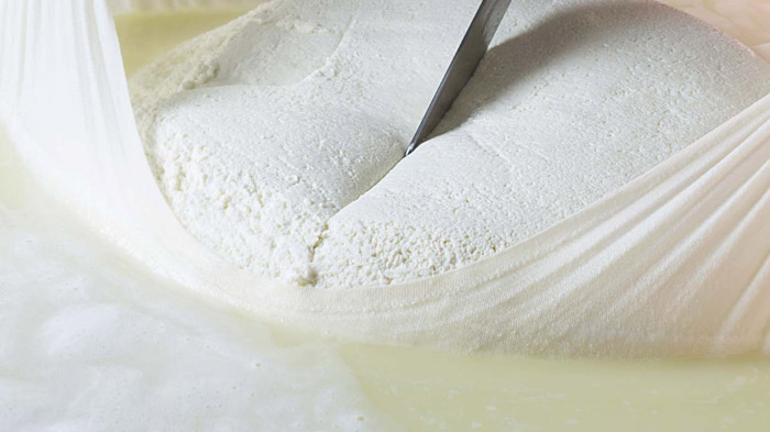 Disciplinare Grana Padano D.O.P.