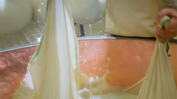 Cómo se elabora el queso Grana Padano