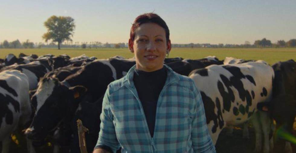 Forme sostenibili, l’importanza dell’alimentazione delle bovine secondo Serena Dossi