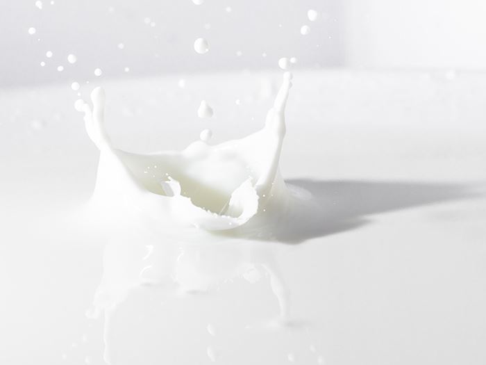 Focus sui micronutrienti