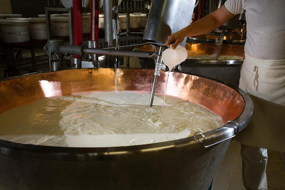 Cómo se elabora el queso Grana