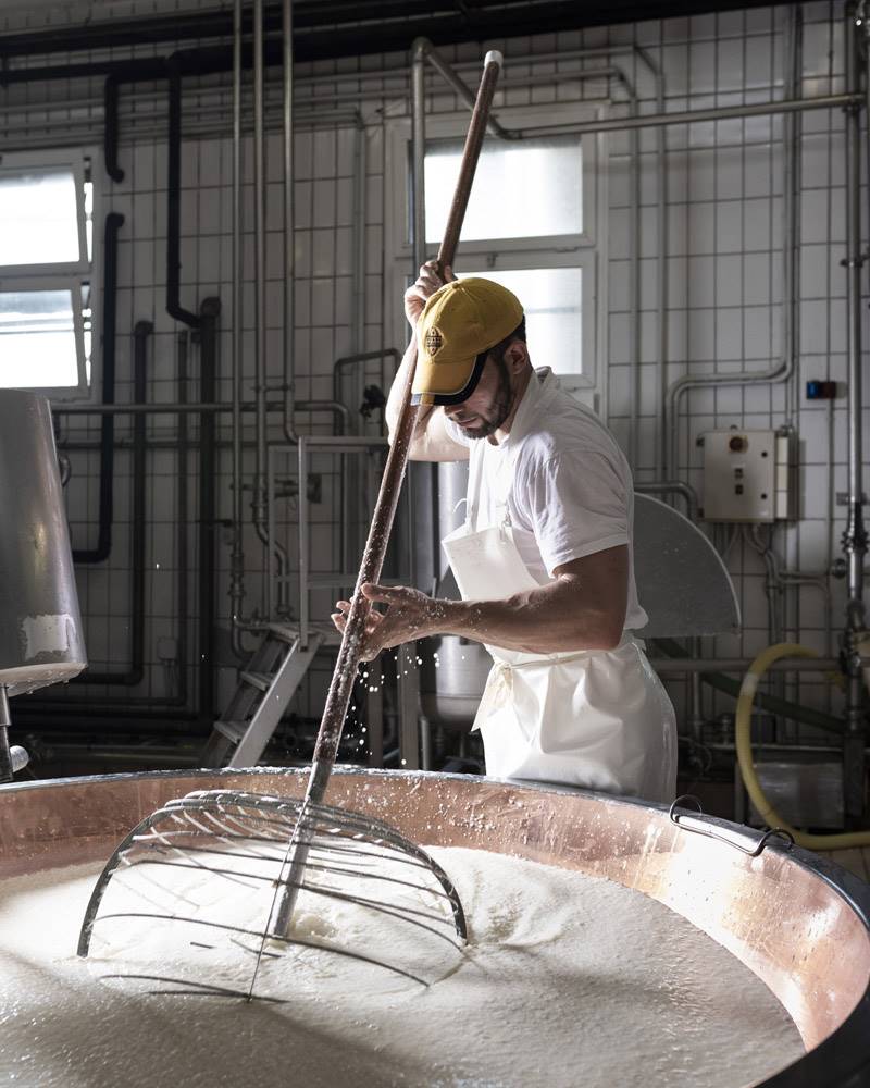 GIORNATA MONDIALE DEL LATTE: GRANA PADANO DOP, UN CONCENTRATO DI NUTRIENTI DEL LATTE GIORNATA MONDIALE DEL LATTE: GRANA PADANO DOP, UN CONCENTRATO DI NUTRIENTI DEL LATTE