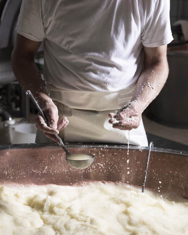 GENNAIO-SETTEMBRE 2019: RALLENTANO I CONSUMI DI GRANA PADANO DOP GENNAIO-SETTEMBRE 2019: RALLENTANO I CONSUMI DI GRANA PADANO DOP