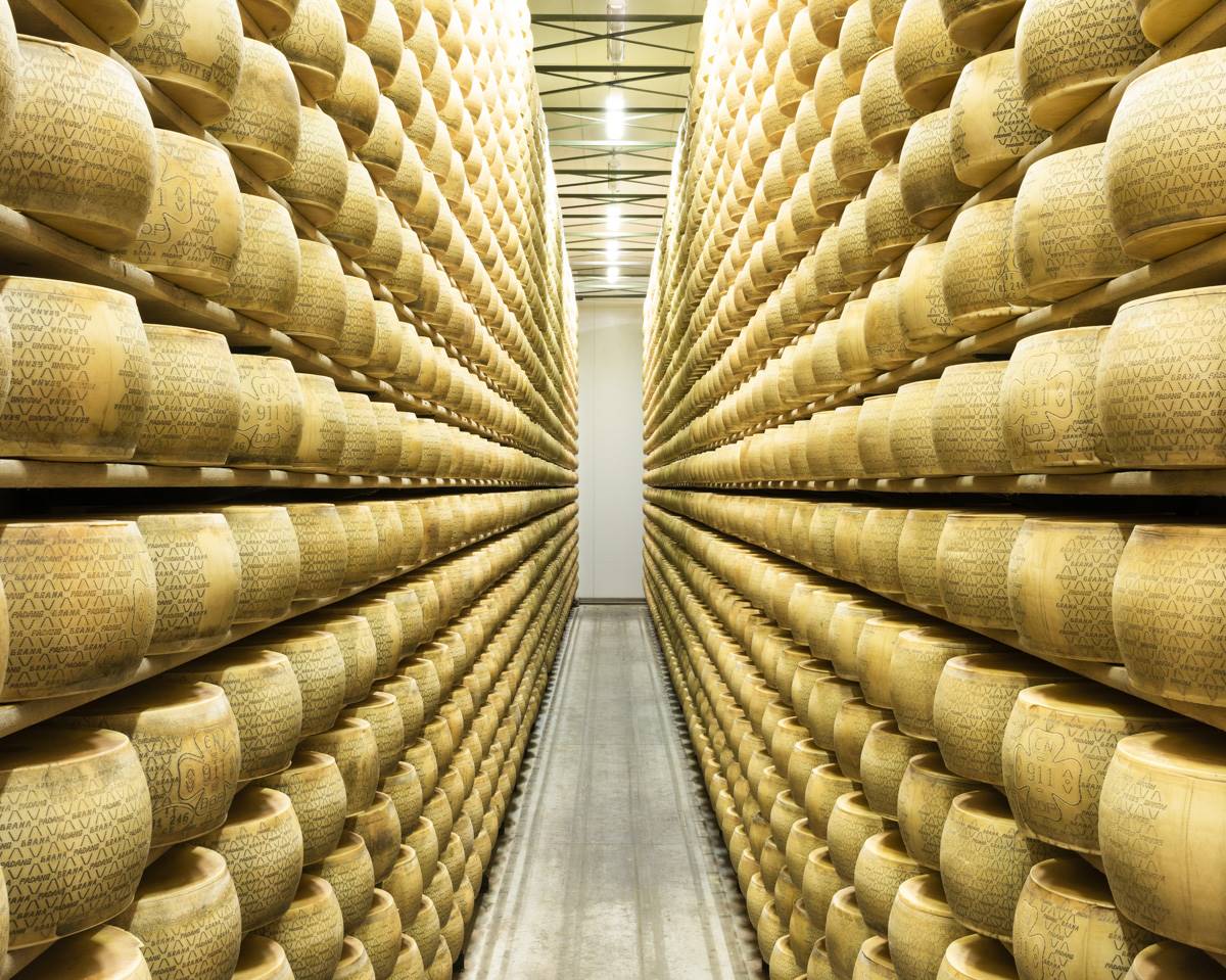 IL GRANA PADANO DOP CRESCE DEL 5% IL GRANA PADANO DOP CRESCE DEL 5%