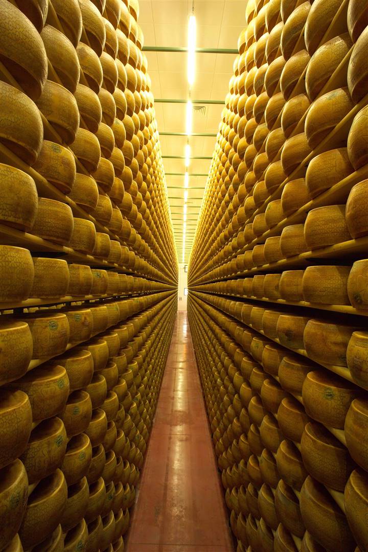 FEBBRAIO 2021: “USCITE” DI  GRANA PADANO DOP IN RIPRESA FEBBRAIO 2021: “USCITE” DI  GRANA PADANO DOP IN RIPRESA