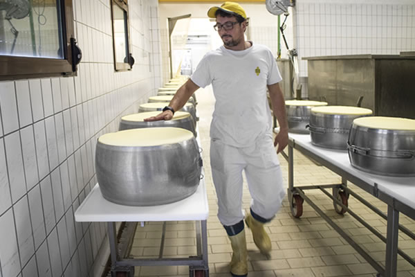 Caseificio Sociale San Donato Soc. Agricola Coop.