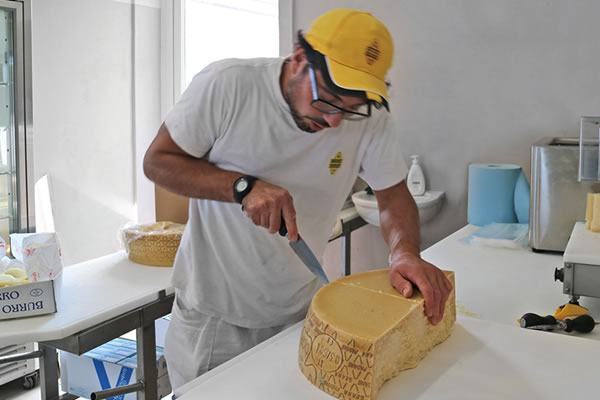 Caseificio Sociale San Donato Soc. Agricola Coop.
