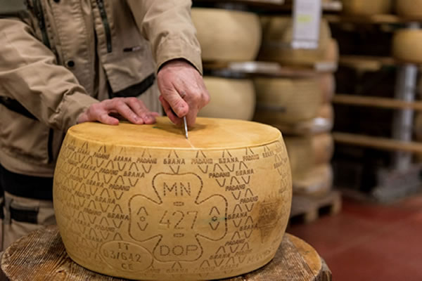 Latteria Sociale Mantova Societ&#224; Agricola Cooperativa