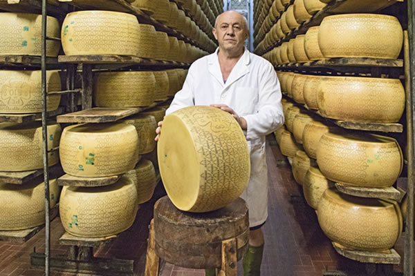 Caseari Dall'Aglio Snc Caseari Dall'Aglio Snc