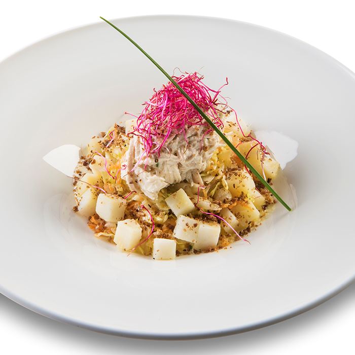 L’insalata di pollo mantecato al Grana Padano con Iceberg, julienne di carote, cubetti di patate, germogli e briciole di pane nero