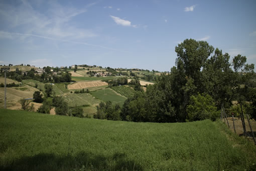 Where Grana Padano comes from
