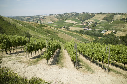 Where Grana Padano comes from