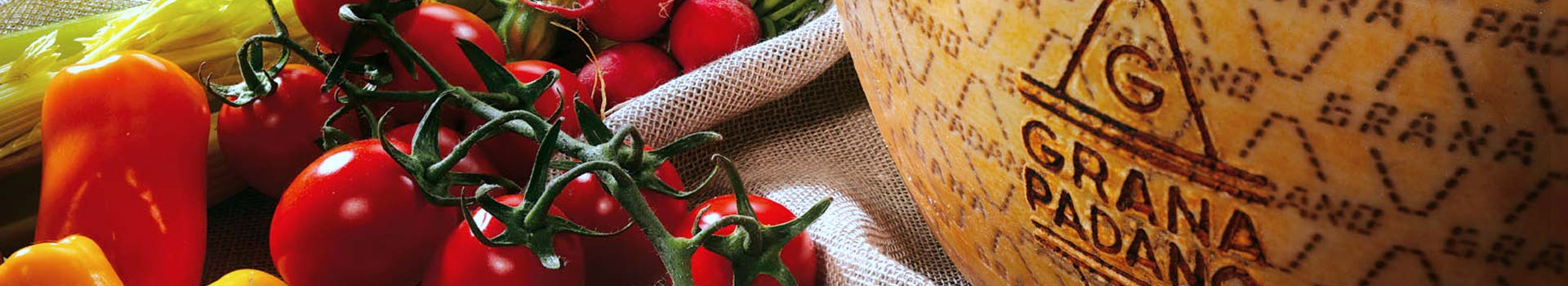 Grana Padano Pdo