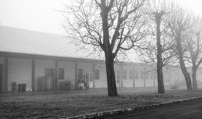 caseificio campiotti