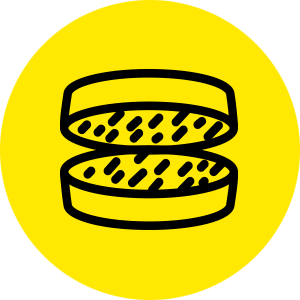 la-mia-pasta
